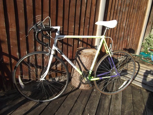 Raleigh scorpio twelve retro - raleigh,