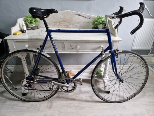 Raleigh reynolds 501 - raleigh,