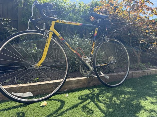 Raleigh banana vintage racing - raleigh,
