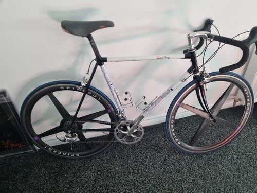 Raleigh dyna tech pro - raleigh, light
