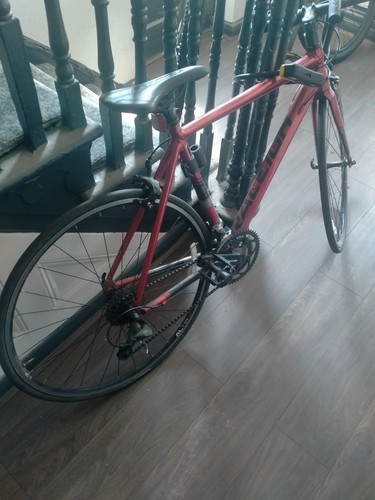 Raleigh mens road racing - r:50,
